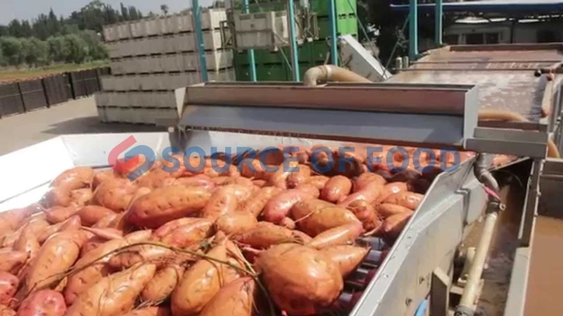 Our sweet potatoes washing machine belongs to the roller washing machine