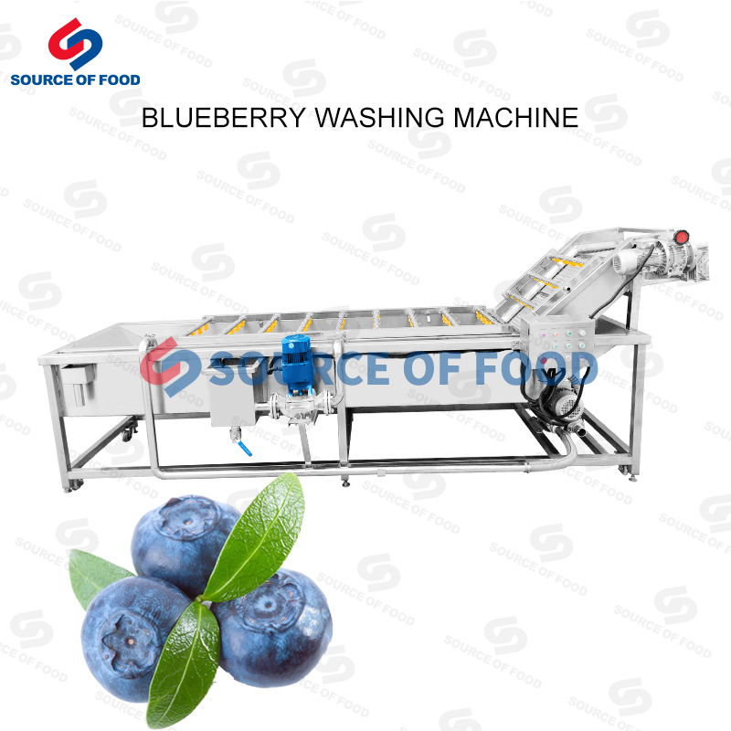 Our blueberry washing machine belongs to bubble washing machine