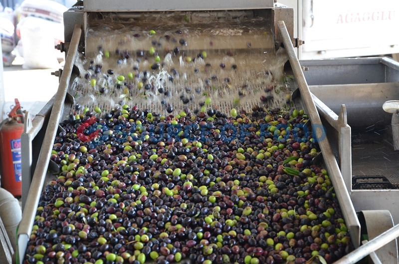 Our olive washing machine belongs to bubble washing machine