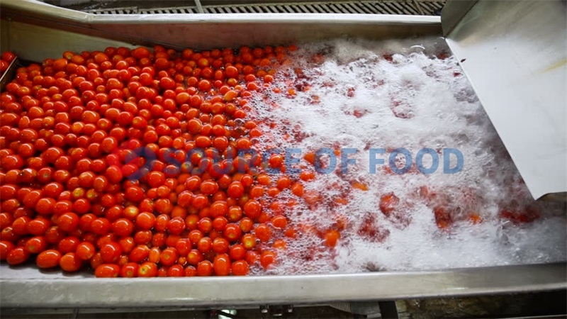 Our tomato washing machine belongs to bubble washing machine