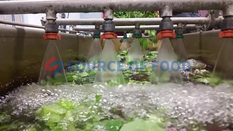 Our lettuce washing machine belongs to bubble washing machine