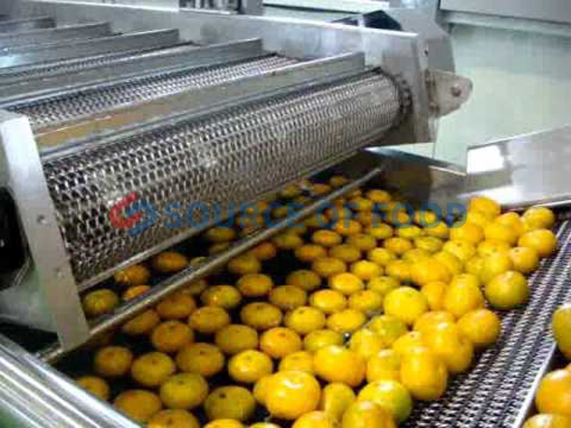 We are lemon washing machine supplier,our Lemon washing machine belongs to bubble washer