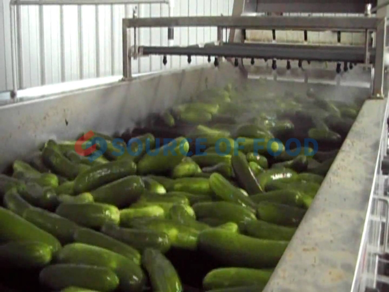Welcome visit and buy cucumber washing machine