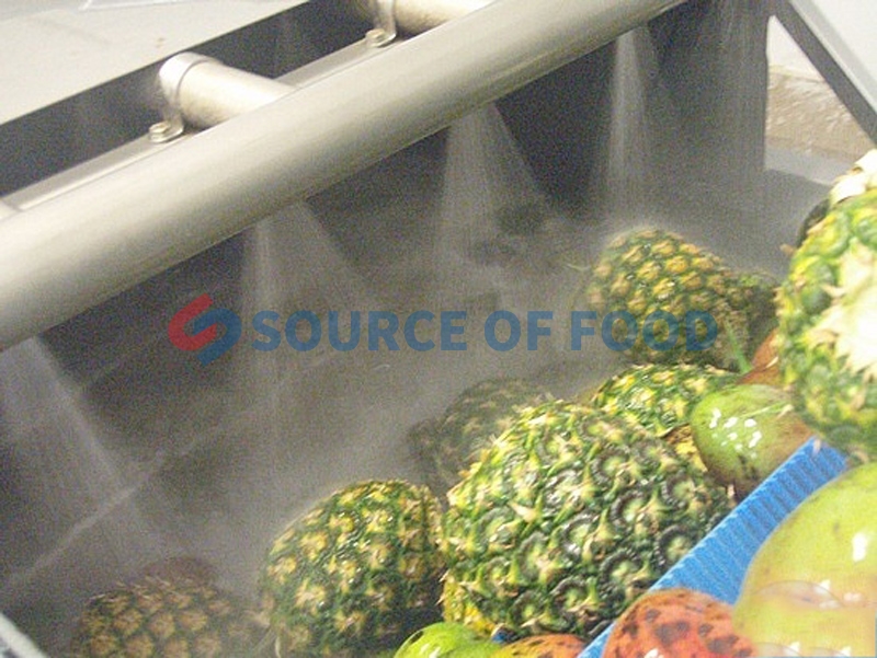 We are pineapple washing machine supplier,Our pineapple washing machine can effectively wash the pineapple skin sludge and stolen goods.