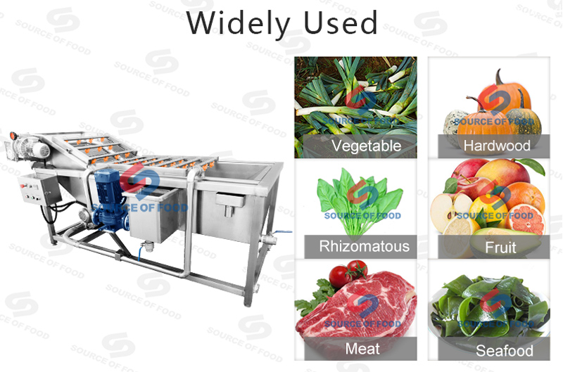 Widely used of leek washing machine