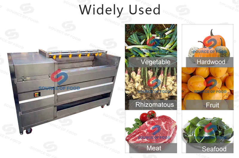 Widely used of ginger washing machine