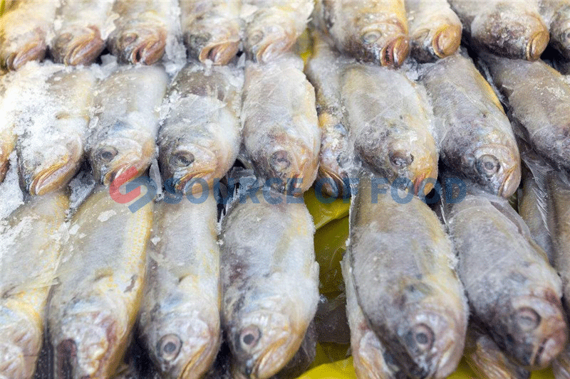 Our sea fish cold storage can freeze the sea fish