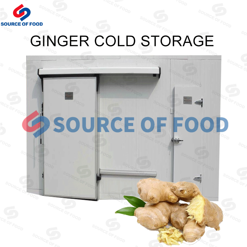 Ginger can be stored through our ginger cold storage have good quality and excellent performance