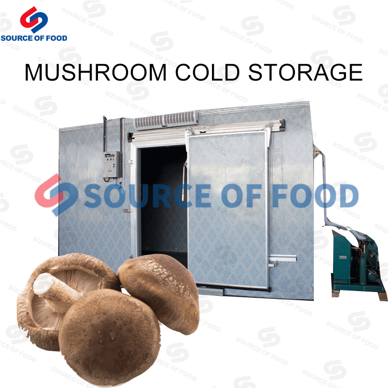 Mushroom can be stored in our mushroom cold storage,our mushroom cold storage room is well-made and exported overseas