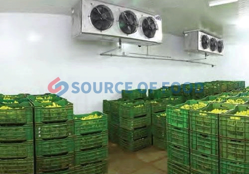our cold storage for banana is designed and developed by the staff
