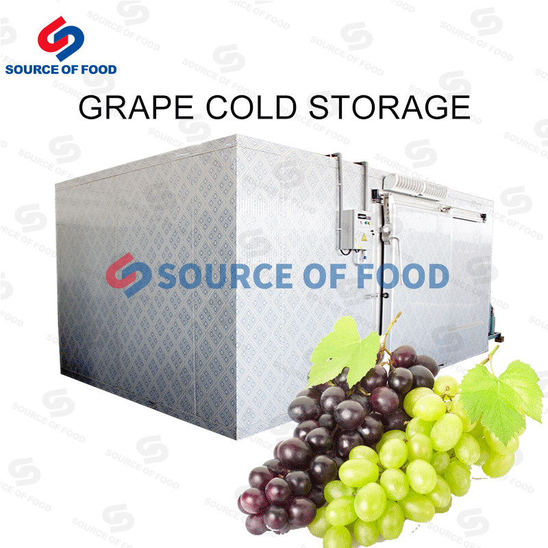 We are grape cold storage supplier,Our grape cold storage can store grapes without damaging their nutrients