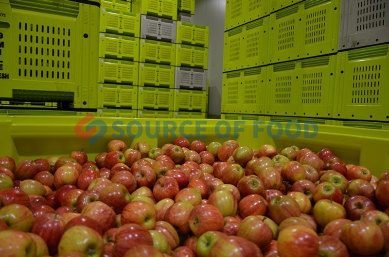 Widely used of apple cold storage