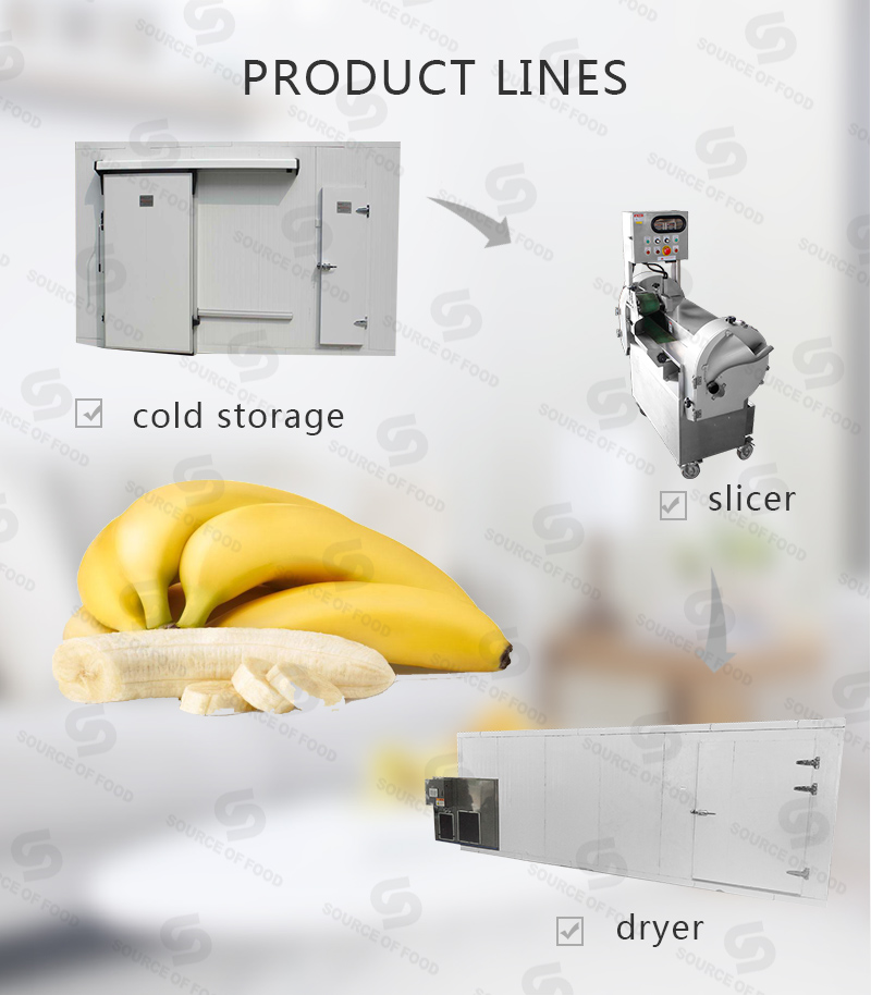 There are series of bananas and plantain food processing machine