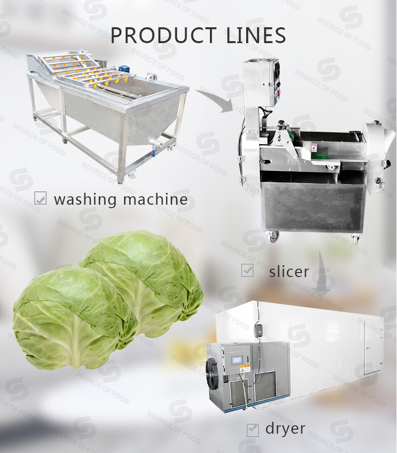 there are cabbage series food processing machine