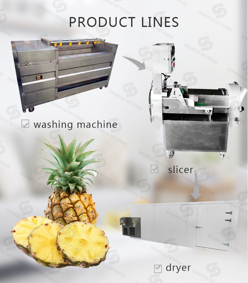 There are pineapple series food processing machine