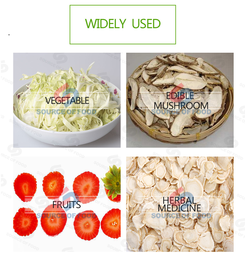Widely used of strawberry slicer
