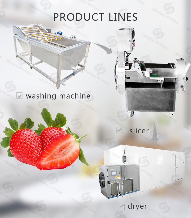 There are strawberry series food processing machine