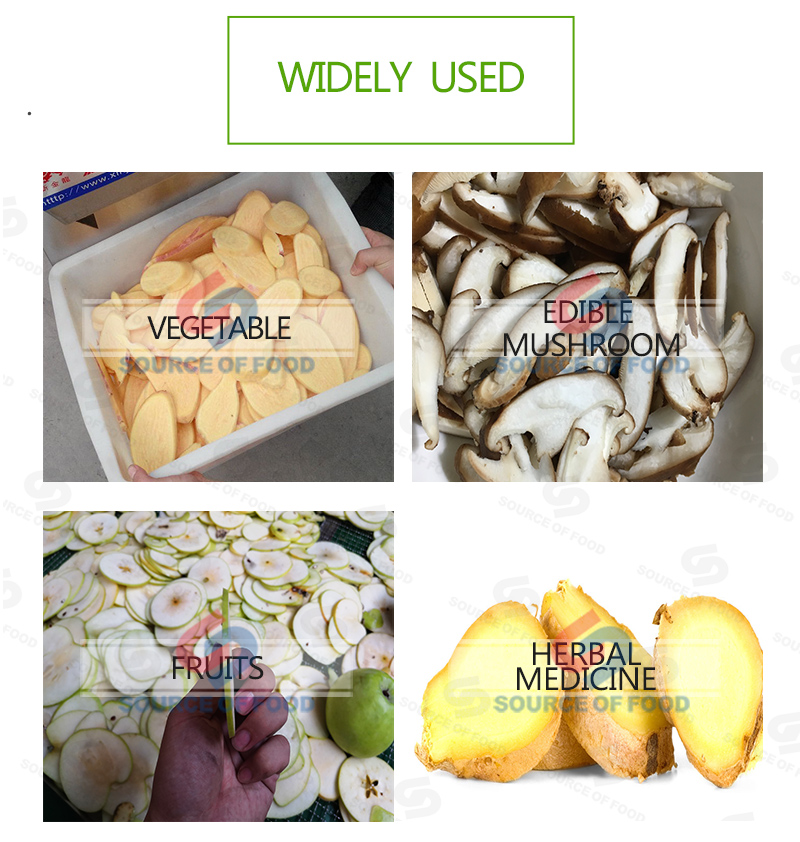 Widely used of ginger slicer machine