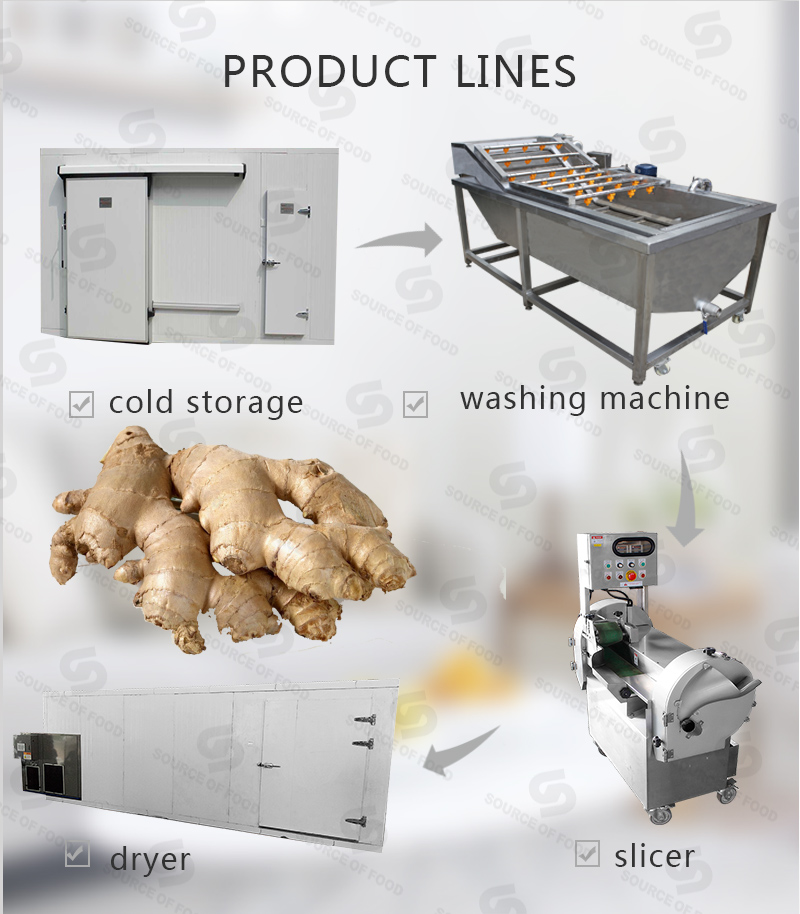 There are series of ginger food procesing machine