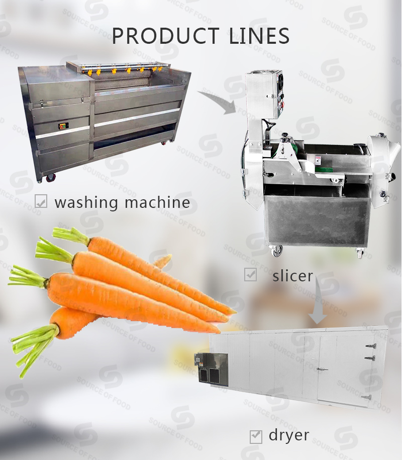 There are series of carrot  food processing machine