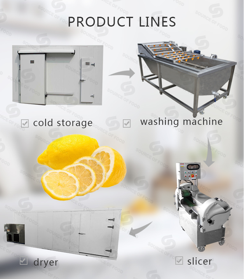There are series of lemon food processing machine