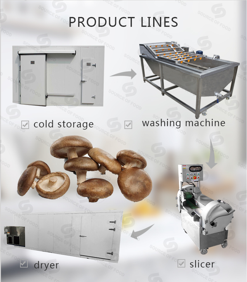 There are our series of mushroom food processing machine