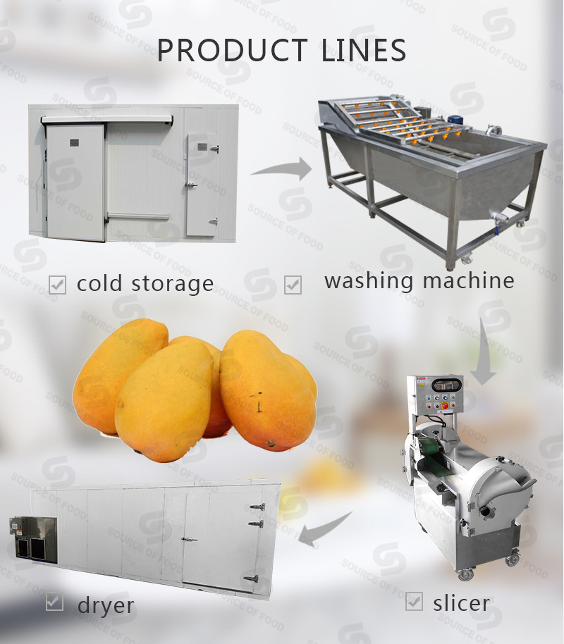 There are series of mango food processing machine