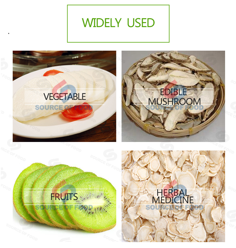 Widely used of kiwi slicer machine