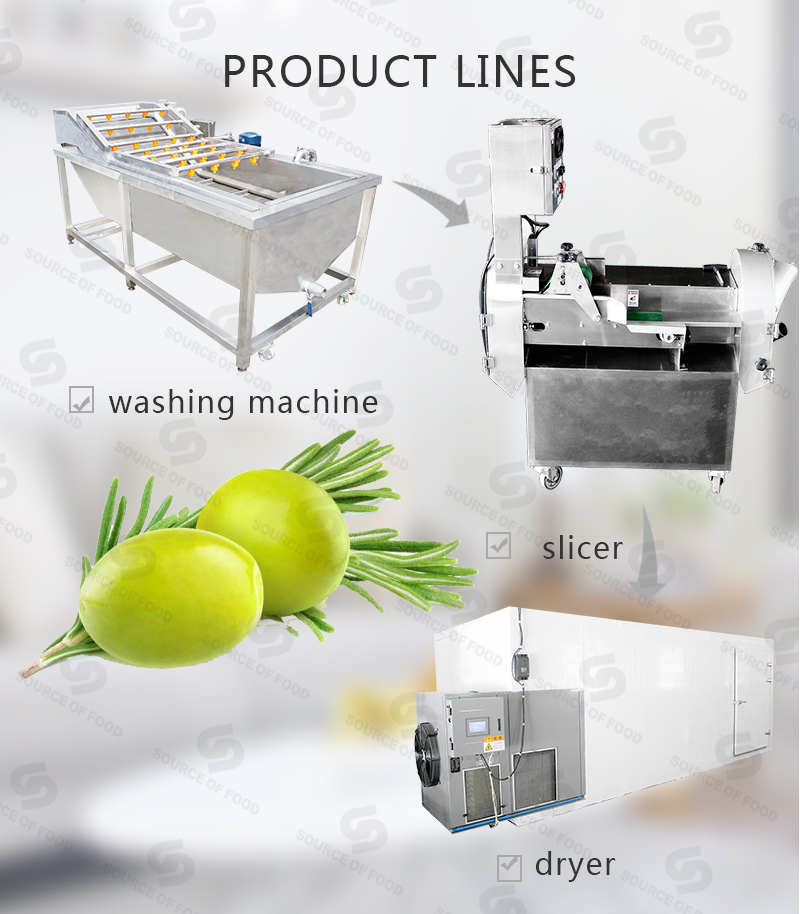 There are series of olive processing machine