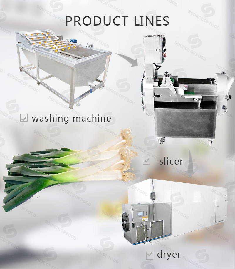 There are series of leek processing machine