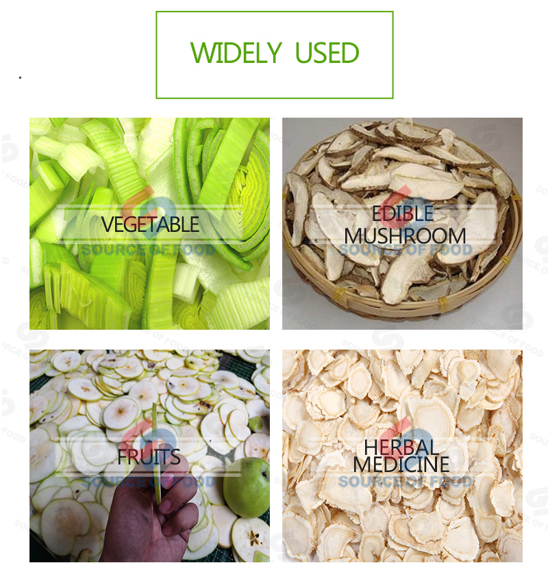 Widely uesed of leek slicer machine