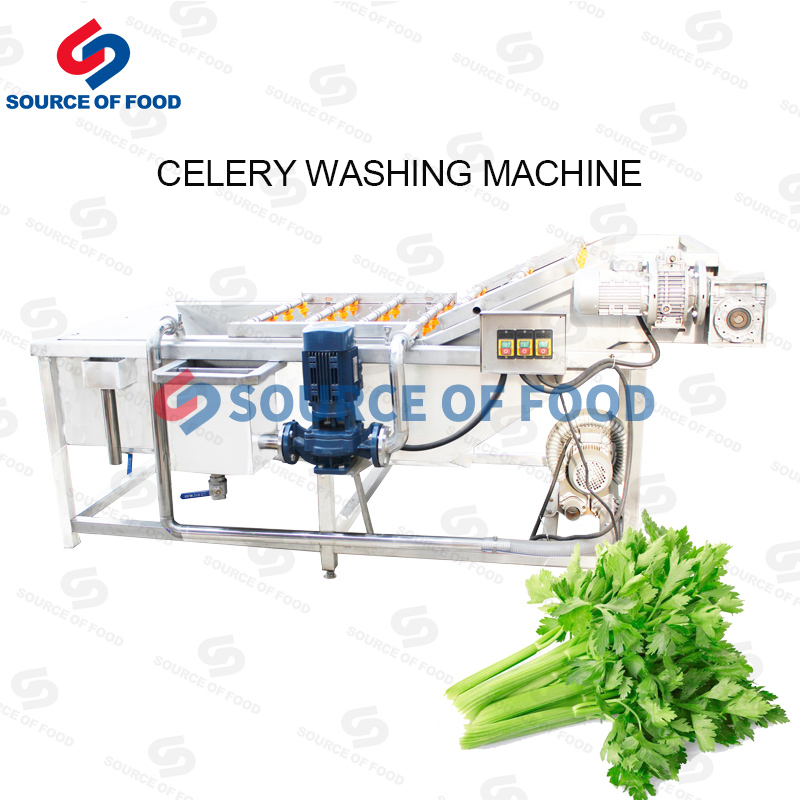 Celery Washing Machine