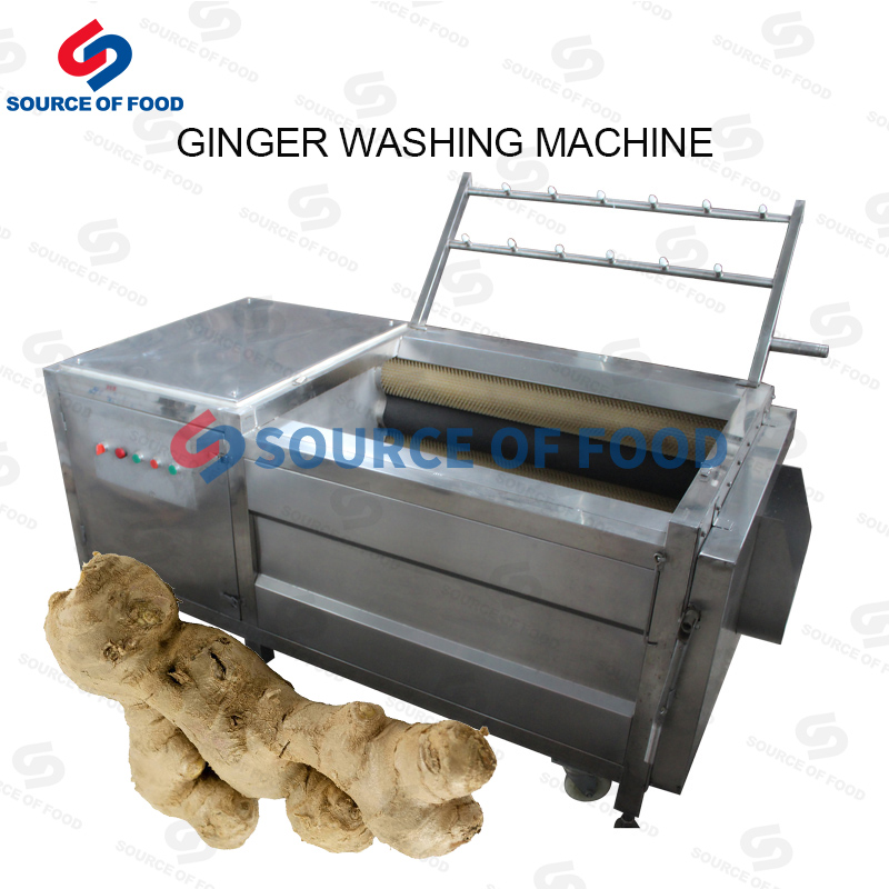 Ginger Washing Machine