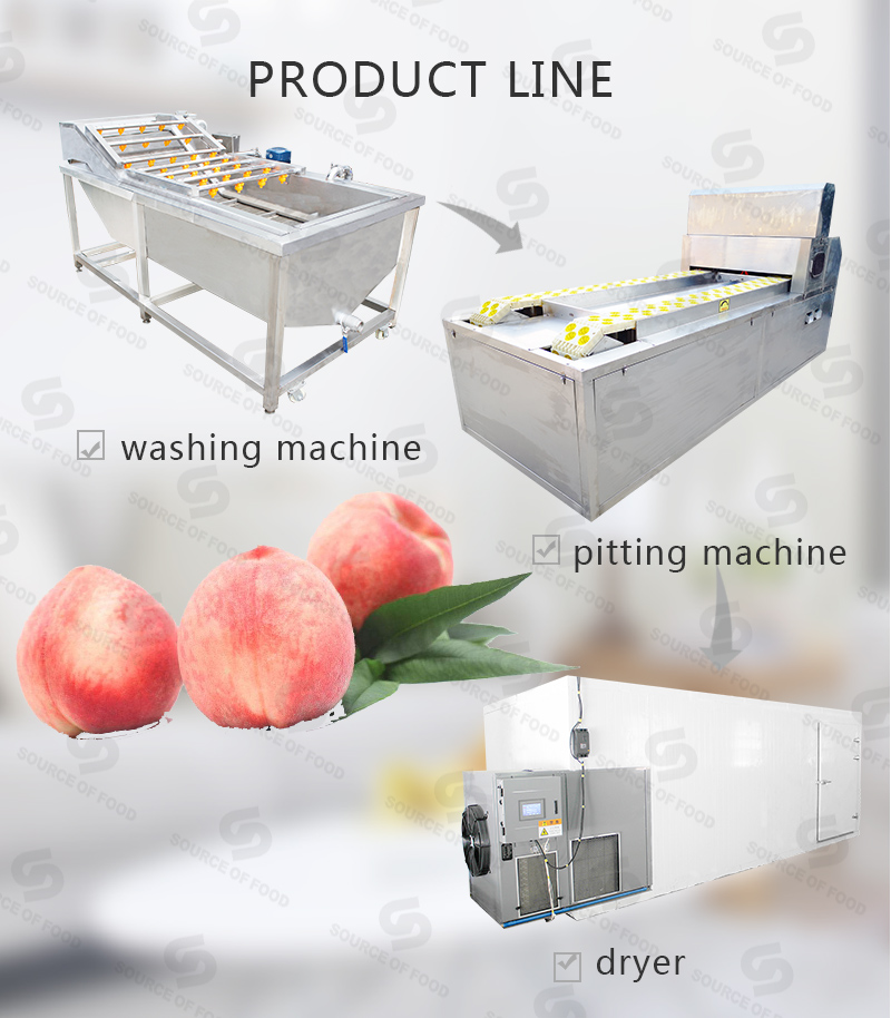 There are series of peaches processing machine