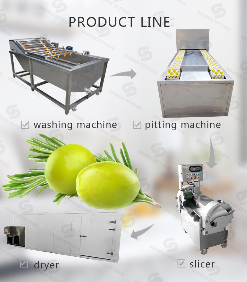 There are series of olive processing machine