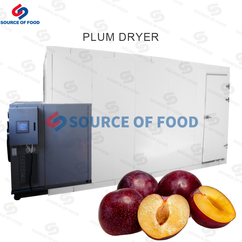 Our plum dryer machine belongs to air-heat pump dryer