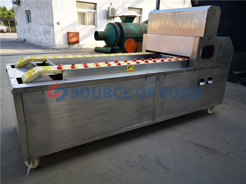 Our apricot pitting machine price is reasonable