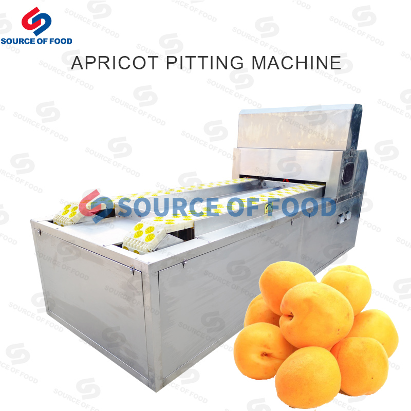We are apricot pitting machine supplier