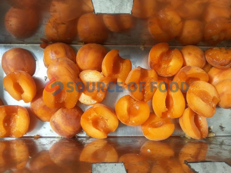 Our apricot pitting machine can effectively remove the apricot kernel.