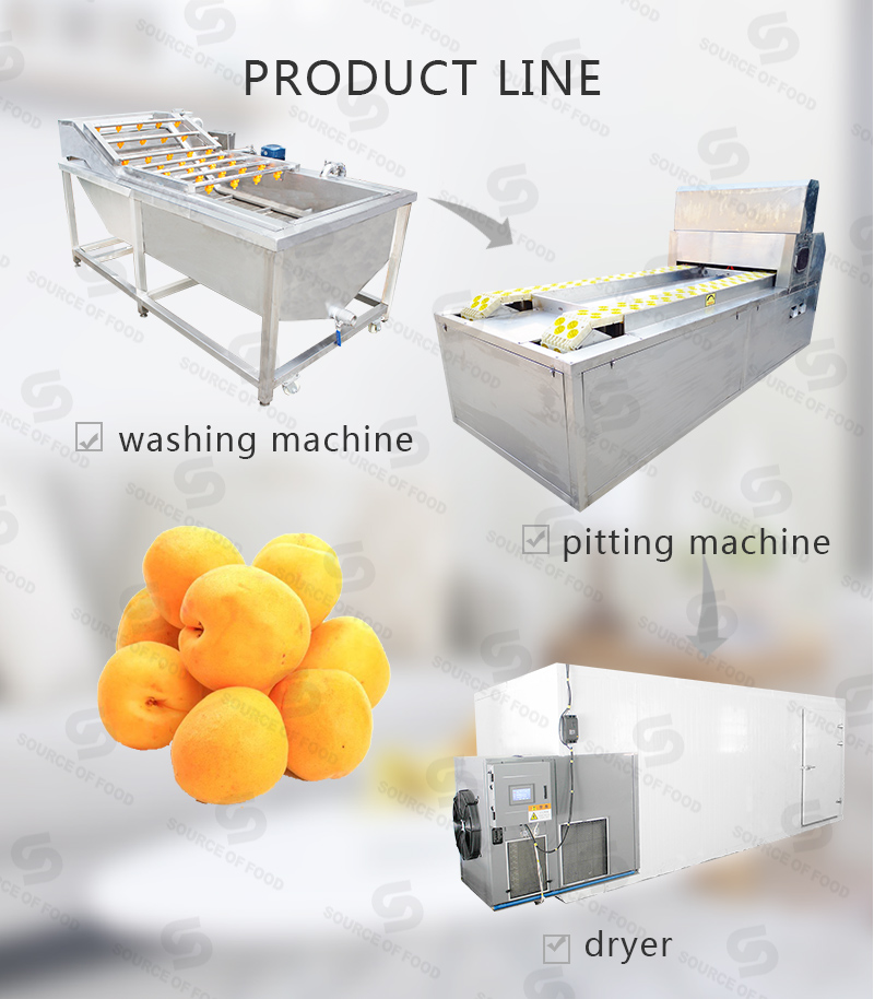 There are series of apricot processing machine