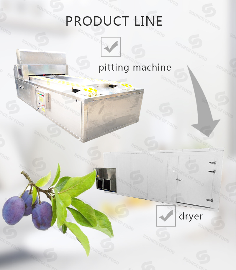 There are series of prune processing machine