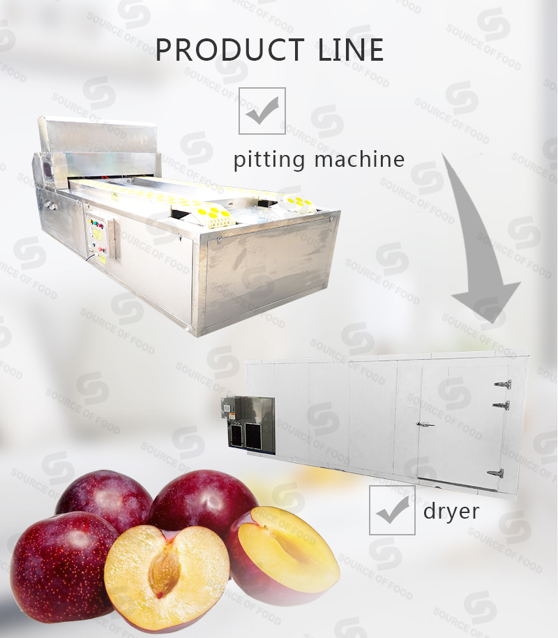 There are series of plum processing machine
