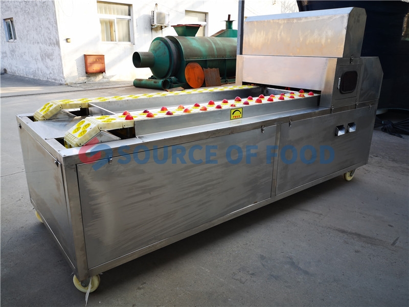 We are fruit pitting machine supplier,our fruit pitting machine price is reasonable and quality is high.
