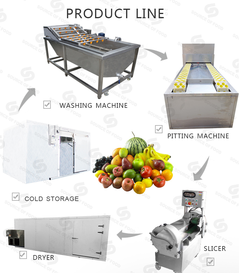 There are series fruit processing machines