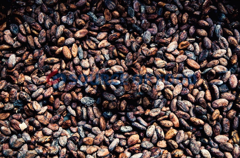 our cocoa bean dryer price is reasonable and performance is excellent.