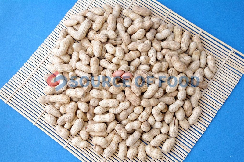 the peanut dryer for sale to abroad are widely recognized.