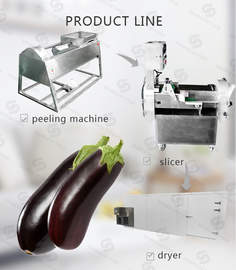 There are series of eggplant processing machine