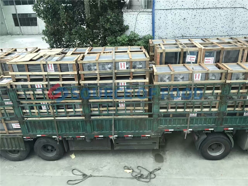 Strawberry Dryer Machine Shipping To Venezuela