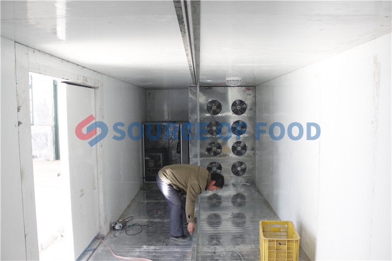 Chilli dryer installing site in Mexico
