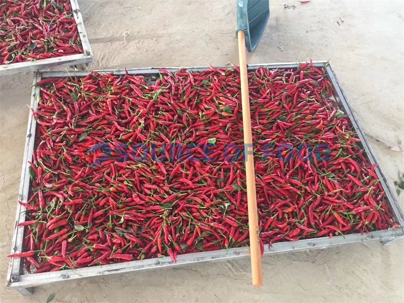 Our chilli dryer machine will keep the chilli edible value well